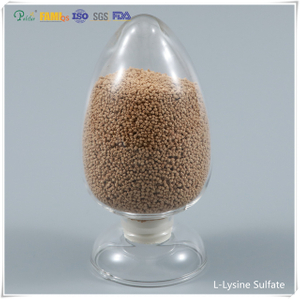 Alimentar sulfato de lisina aditivo 70% Grade de alimentação